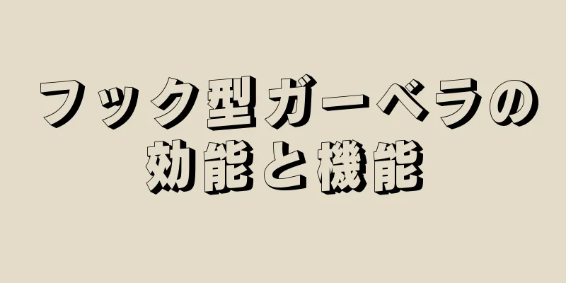 フック型ガーベラの効能と機能