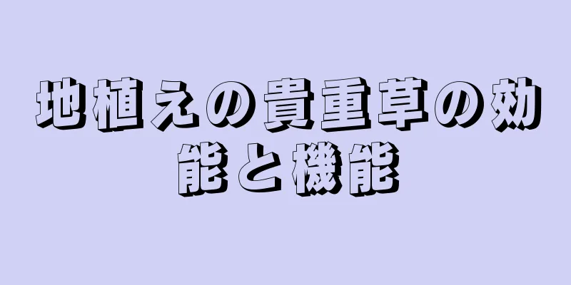 地植えの貴重草の効能と機能