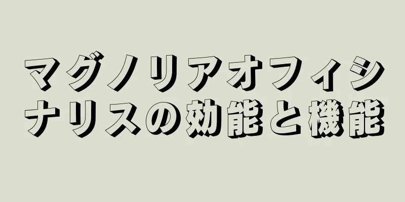 マグノリアオフィシナリスの効能と機能