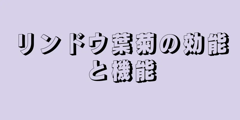 リンドウ葉菊の効能と機能