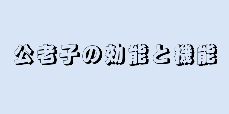 公老子の効能と機能