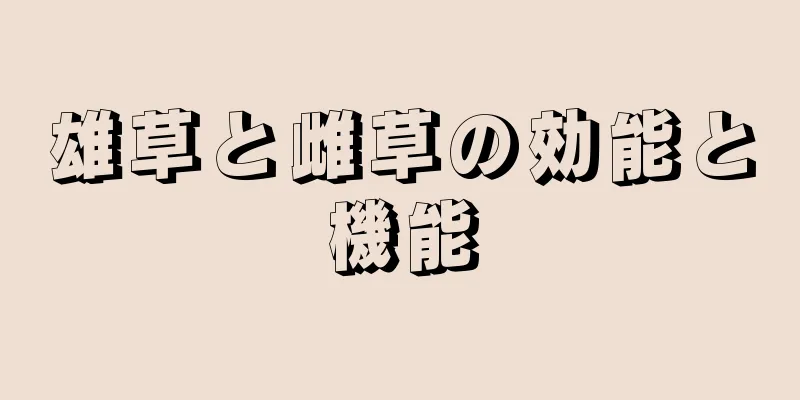 雄草と雌草の効能と機能