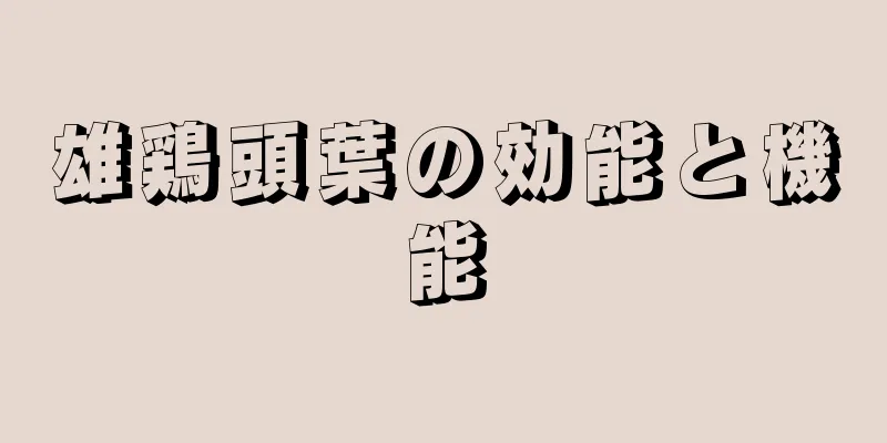 雄鶏頭葉の効能と機能