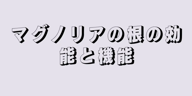 マグノリアの根の効能と機能
