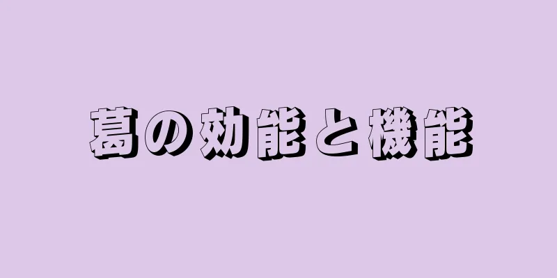 葛の効能と機能