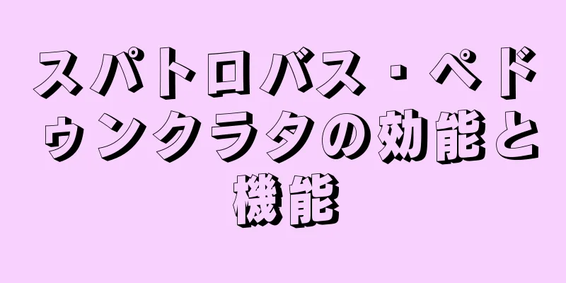 スパトロバス・ペドゥンクラタの効能と機能