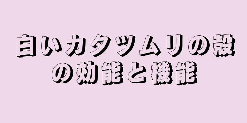 白いカタツムリの殻の効能と機能