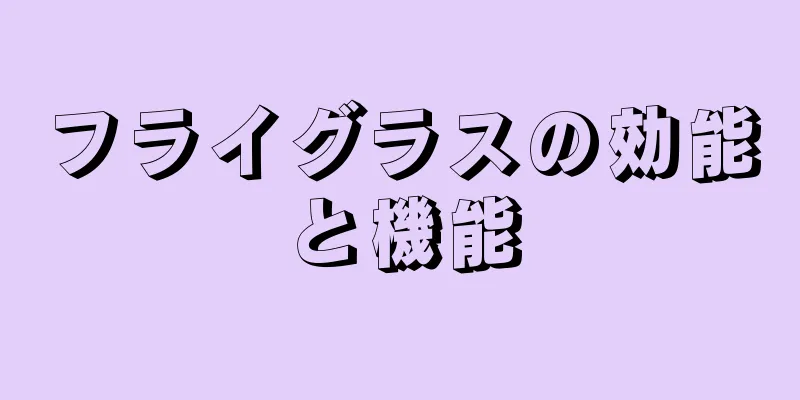 フライグラスの効能と機能