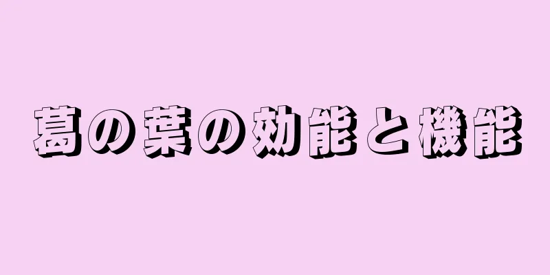 葛の葉の効能と機能
