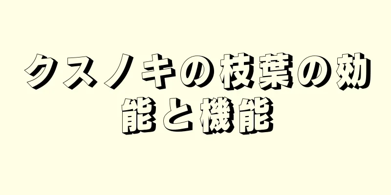 クスノキの枝葉の効能と機能