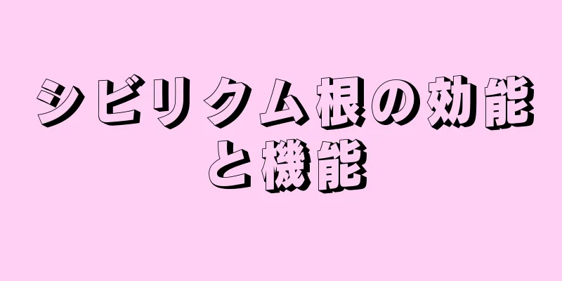 シビリクム根の効能と機能