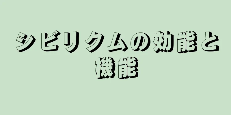 シビリクムの効能と機能
