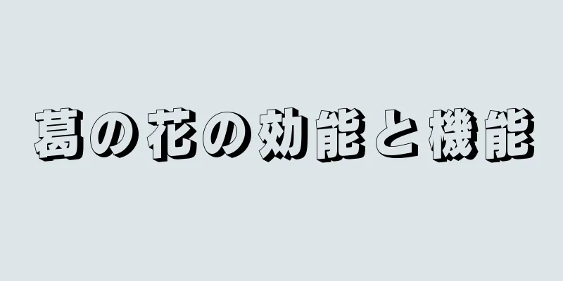 葛の花の効能と機能