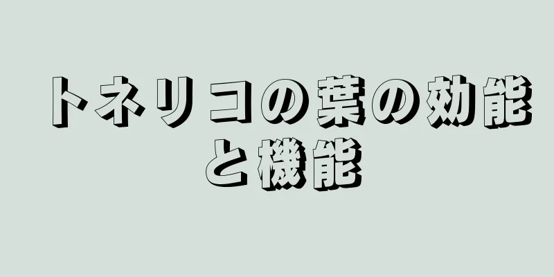 トネリコの葉の効能と機能