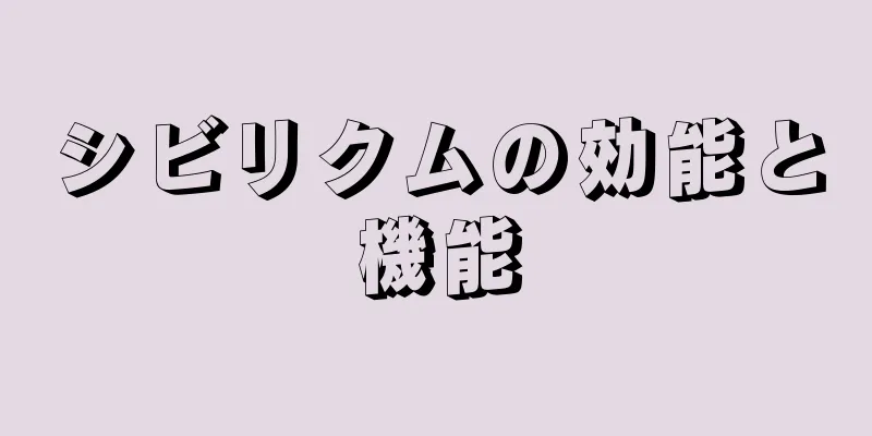 シビリクムの効能と機能