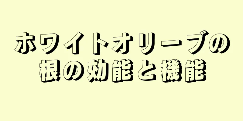 ホワイトオリーブの根の効能と機能