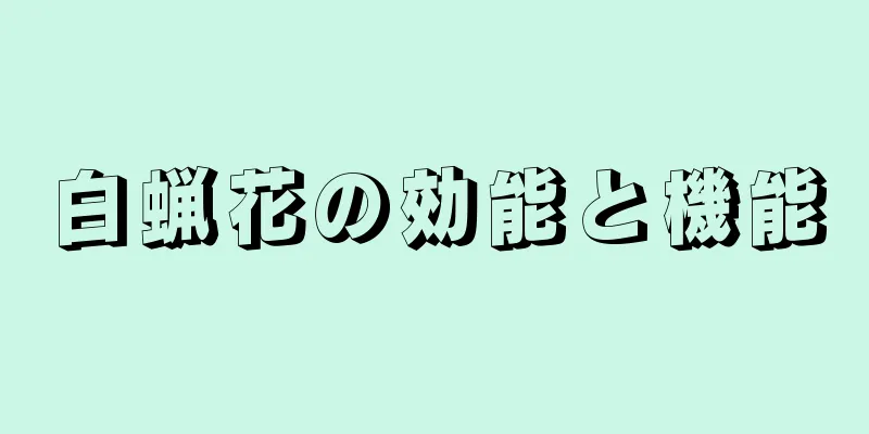 白蝋花の効能と機能