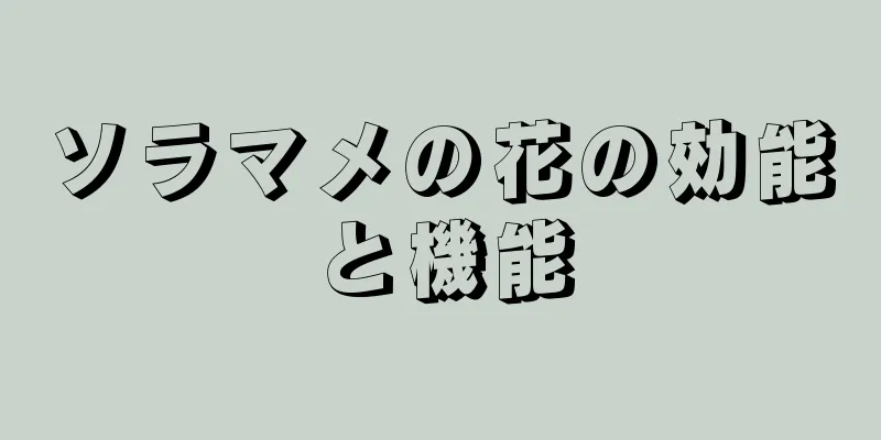ソラマメの花の効能と機能