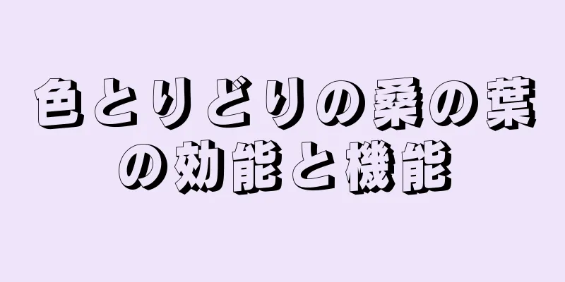 色とりどりの桑の葉の効能と機能