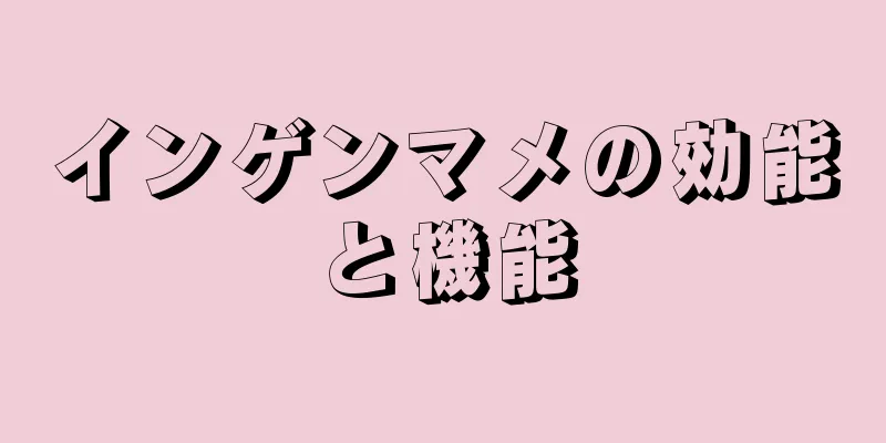 インゲンマメの効能と機能