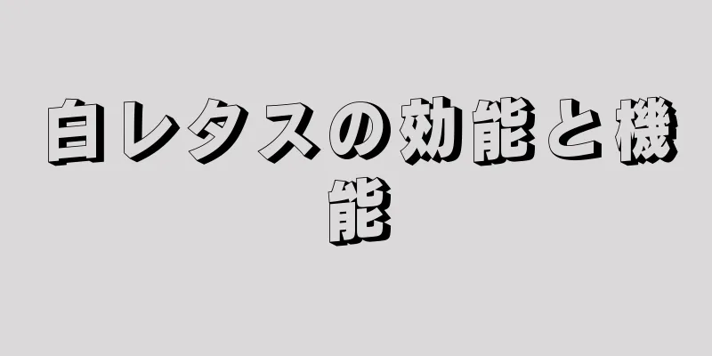 白レタスの効能と機能