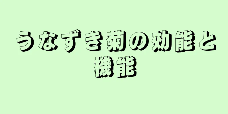 うなずき菊の効能と機能