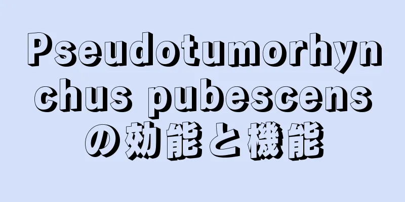Pseudotumorhynchus pubescensの効能と機能