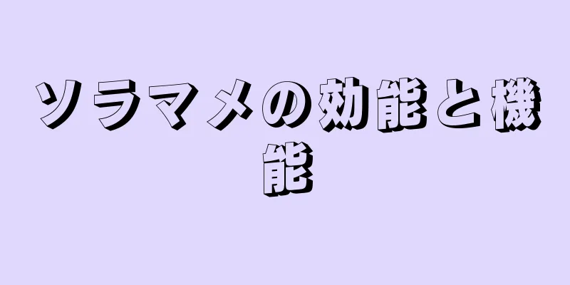 ソラマメの効能と機能