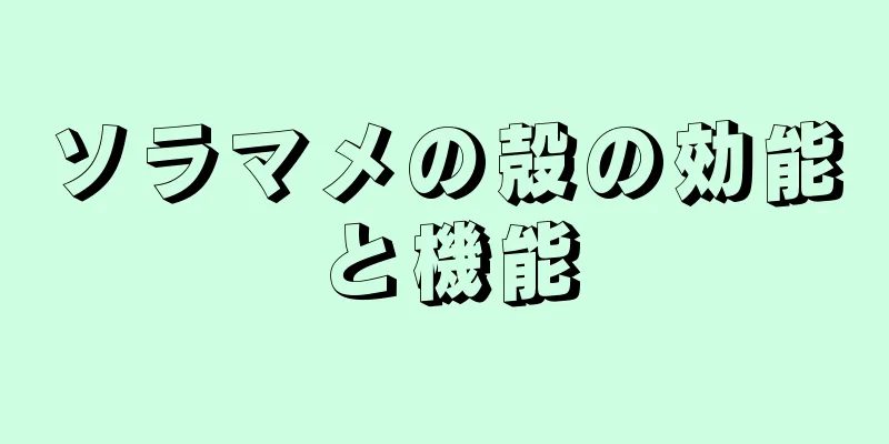 ソラマメの殻の効能と機能
