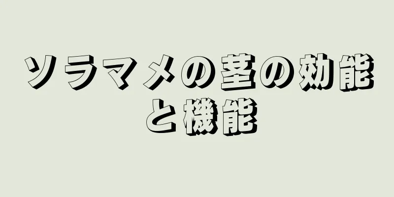 ソラマメの茎の効能と機能