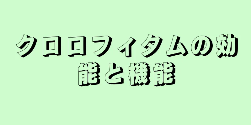 クロロフィタムの効能と機能