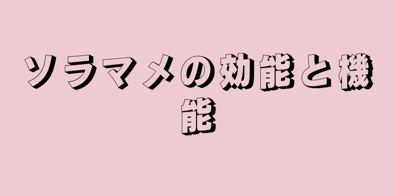 ソラマメの効能と機能