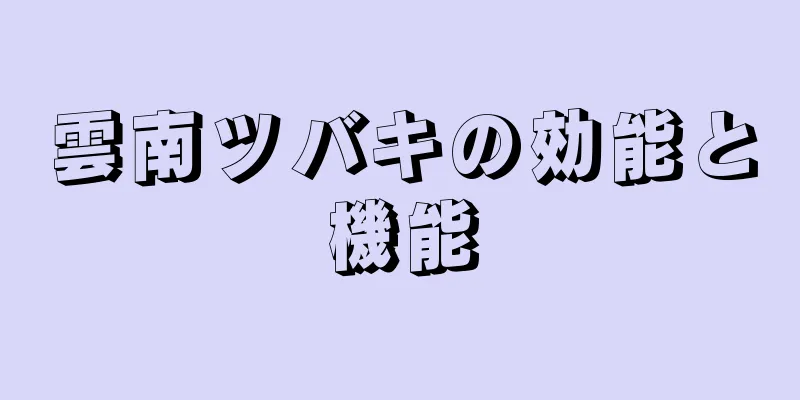 雲南ツバキの効能と機能