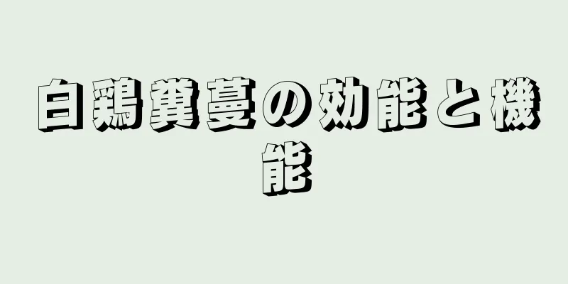 白鶏糞蔓の効能と機能