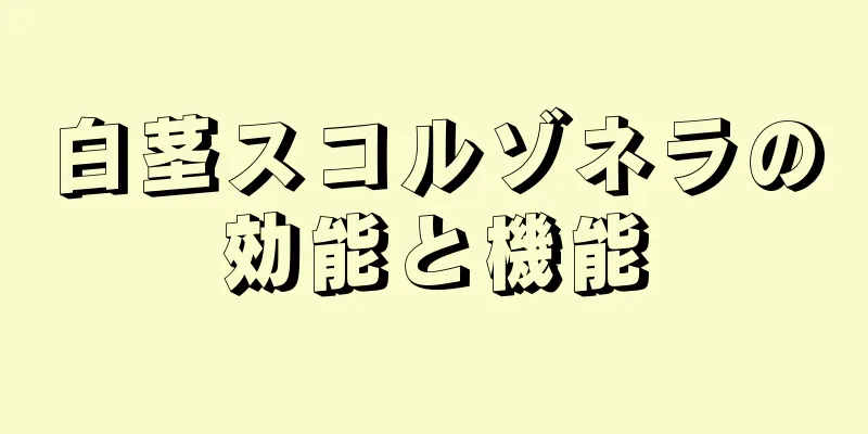 白茎スコルゾネラの効能と機能