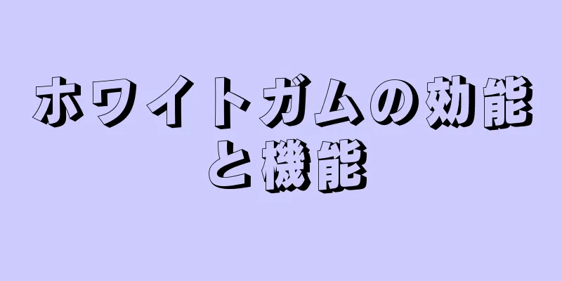 ホワイトガムの効能と機能