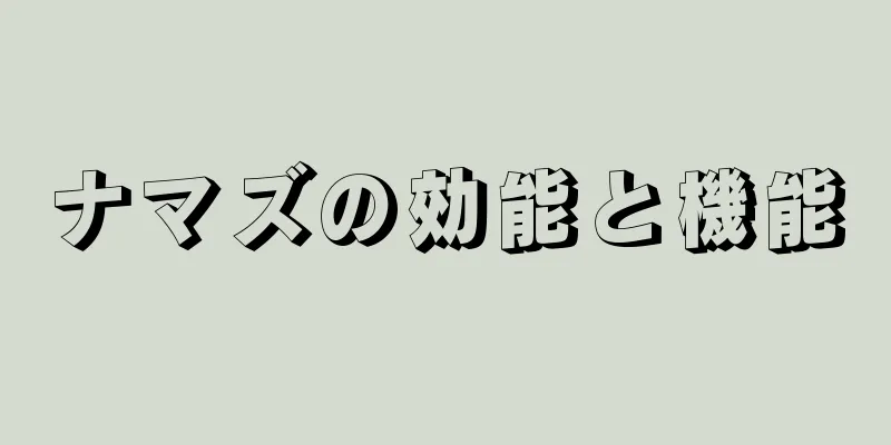 ナマズの効能と機能