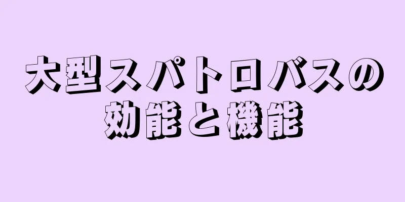 大型スパトロバスの効能と機能