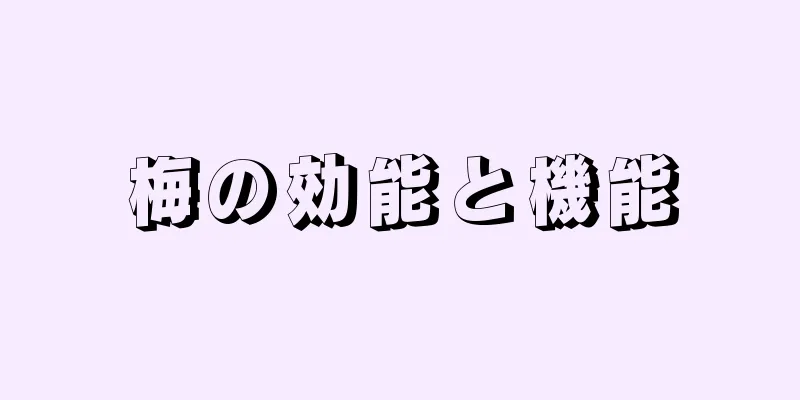 梅の効能と機能