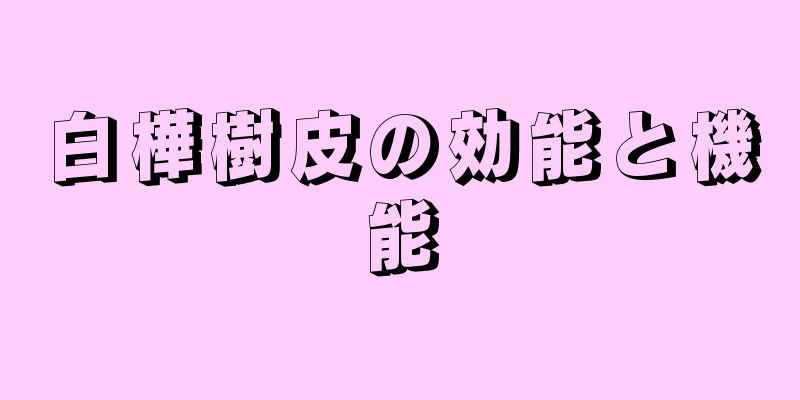 白樺樹皮の効能と機能