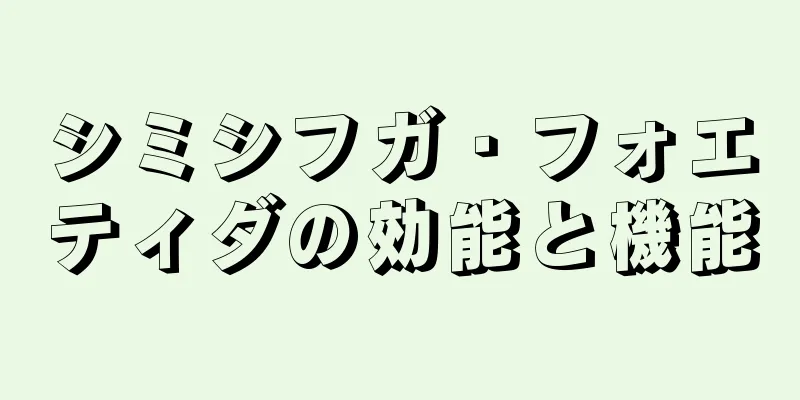 シミシフガ・フォエティダの効能と機能