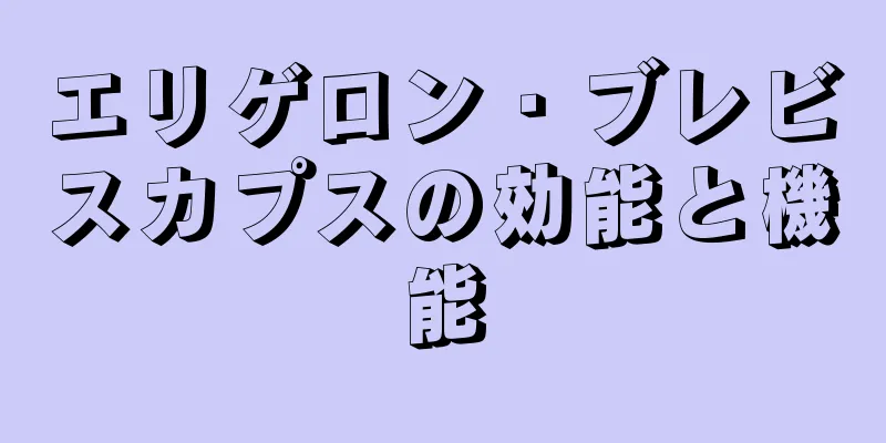 エリゲロン・ブレビスカプスの効能と機能