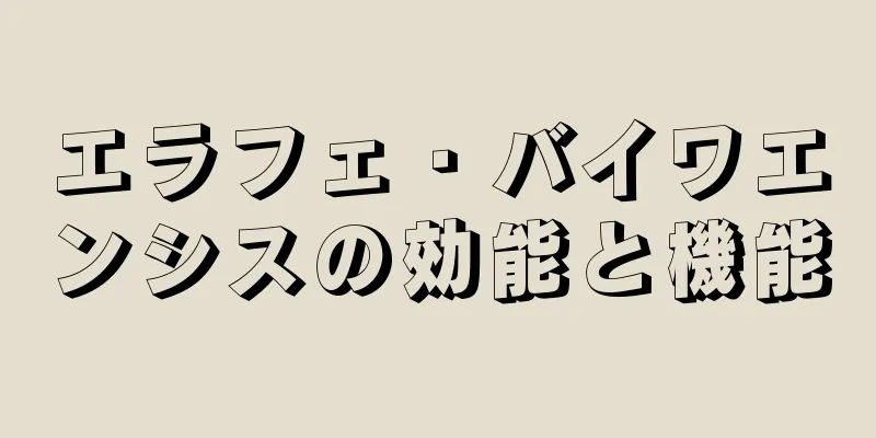 エラフェ・バイワエンシスの効能と機能