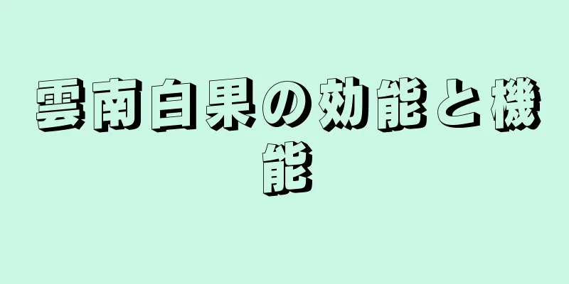 雲南白果の効能と機能