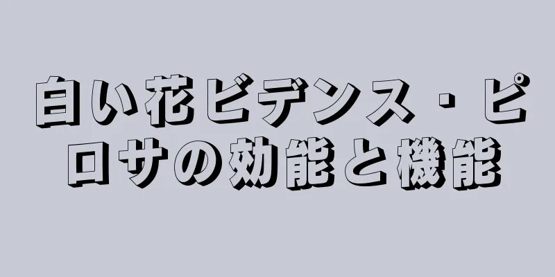 白い花ビデンス・ピロサの効能と機能