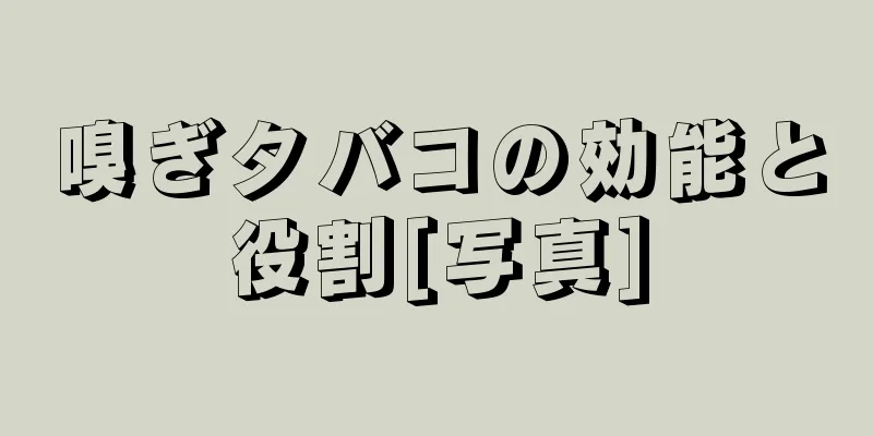 嗅ぎタバコの効能と役割[写真]