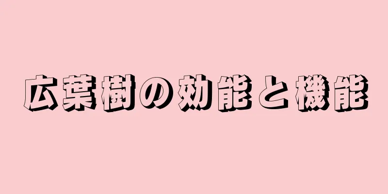 広葉樹の効能と機能