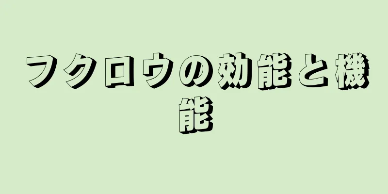 フクロウの効能と機能