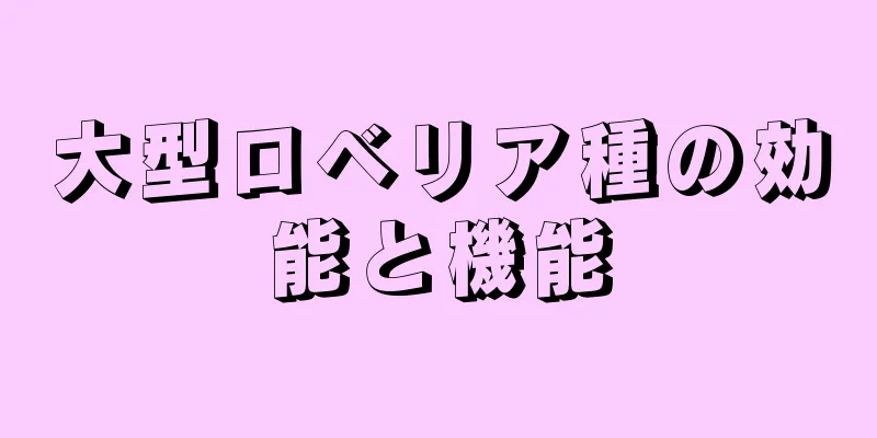 大型ロベリア種の効能と機能