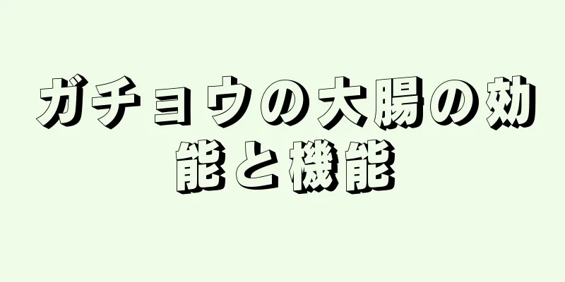 ガチョウの大腸の効能と機能
